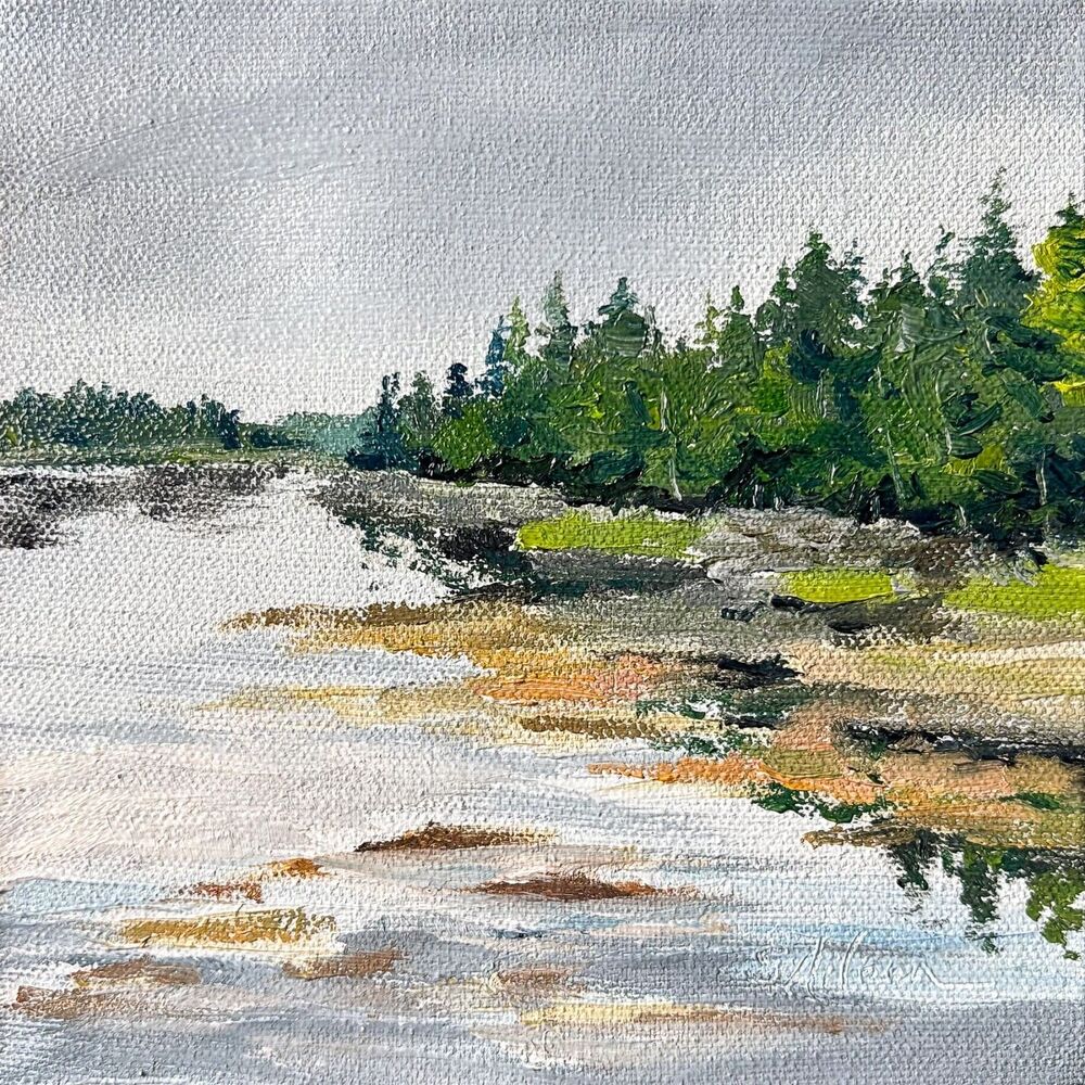 6x6x1.5 Maine Original Oil Landscape Canvas Painting Acadia Rocks Ocean Signed